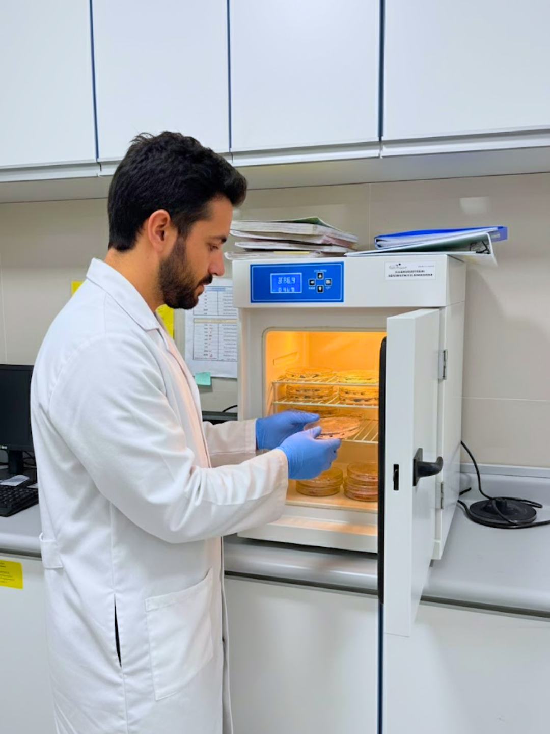 Perfil hepático laboratorio Buena Salud